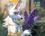  anthro arctic_wolf blurred_background canid canine canis clothing crystal_ice dress eyebrows female hi_res illumination_entertainment klara_crystal lavender logo looking_at_viewer makeup mammal sing_(movie) solo thick_eyebrows wolf 