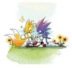  2boys animal_ears animal_nose black_eyes body_fur commentary english_commentary flower fox_boy fox_ears fox_tail full_body furry furry_male gloves happy highres male_focus multiple_boys multiple_tails open_mouth rat_riot red_footwear shoes simple_background smile socks sonic_(series) sonic_the_hedgehog standing star_(symbol) sunflower tail tails_(sonic) two_tails white_background white_gloves white_socks 