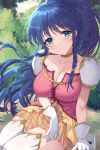  1girl aqua_eyes awayuki_ramika blue_hair braid breasts bush choker cleavage closed_mouth collarbone commentary_request day fire_emblem fire_emblem:_the_sacred_stones gloves grass highres leaf long_hair looking_at_viewer medium_breasts outdoors red_shirt shirt shoulder_guard sitting skirt smile solo tana_(fire_emblem) thighhighs twin_braids very_long_hair white_gloves white_thighhighs yellow_skirt 
