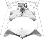  akita anthro bed belly bulge canid canine canis chubby_cheeks clothed clothing domestic_dog fur furniture greyscale hair hands_behind_head lying lying_on_bed male mammal monochrome moobs navel noon_(softakita) obese obese_anthro obese_male okaeri on_back on_bed open_mouth open_smile overweight overweight_anthro overweight_male smile smirk solo spitz tongue underwear 