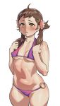  1girl absurdres ahoge alternate_costume athos_(athosart) bikini blush breasts brown_eyes brown_hair commission covered_nipples fire_emblem fire_emblem_fates flower freckles hair_flower hair_ornament highres mozu_(fire_emblem) navel nipples o-ring o-ring_bikini pink_flower purple_bikini simple_background small_breasts swimsuit twintails underboob white_background 