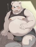  2023 ai_only_dream anthro bear blush bulge clothing duo hi_res humanoid_hands japanese_text kemono male mammal moobs muscular nipples overweight overweight_male polar_bear text underwear ursine 
