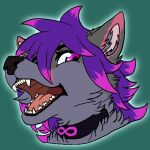  ashe_infinity canid canine collar fox fur grey_body grey_fur hair headshot_portrait highlights_(coloring) infinity_symbol knightxayvion mammal open_mouth pink_eyes pink_highlights portrait purple_hair solo symbol 