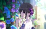  1girl black_hair blunt_bangs blurry blurry_background braid depth_of_field floral_print flower hair_flower hair_ornament idolmaster idolmaster_cinderella_girls idolmaster_cinderella_girls_starlight_stage japanese_clothes kimono light_smile looking_at_flowers morning_glory official_art outdoors purple_eyes shirayuki_chiyo solo upper_body yukata 