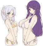  2girls bikini blunt_bangs blush breasts closed_mouth elf fern_(sousou_no_frieren) frieren green_eyes grey_hair highres large_breasts long_hair looking_at_viewer mel_(melty_pot) multiple_girls pointy_ears purple_eyes purple_hair side-tie_bikini_bottom simple_background small_breasts sousou_no_frieren swimsuit twintails white_background white_bikini white_hair yellow_bikini 