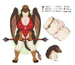  anthro anus armor avian back_wings barbarian big_breasts bikini bracelet breasts brown_body brown_feathers butt chainmail_bikini chainmail_lingerie cleavage clothed clothing crown fantasy feathered_wings feathers female genitals gold_legband gryphon half-closed_eyes headgear huge_breasts humanoid_genitalia humanoid_pussy jewelry model_sheet mythological_avian mythology narrowed_eyes neck_tuft pussy quarterstaff red_sclera roly simple_background solo swimwear tan_body tan_feathers thick_thighs tuft unconvincing_armor warrior white_background wide_hips wings 