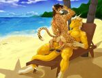  anal anal_penetration anthro anthro_on_anthro beach chaise_lounge cheetah cowgirl_position dragon duo eyewear felid feline from_front_position genitals gloves_(marking) gold_scales hair hi_res horn kneeling leg_markings liervey looking_at_another looking_at_viewer looking_back male male/male mammal markings muscular muscular_male nikrebelis on_bottom on_top pawpads penetration penis ribbed_penis scalie seaside sex silver_hair socks_(marking) spots sunglasses western_dragon 