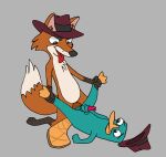  anthro canid canine disney duo feral fox hi_res male male/male mammal monotreme perry_the_platypus phineas_and_ferb platypus unknown_artist 