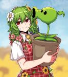  1girl blurry field flower flower_field flower_pot formicid hair_flower hair_ornament holding holding_flower_pot kazami_yuuka looking_at_viewer medium_hair multicolored_flower necktie peashooter_(plants_vs_zombies) plaid plaid_vest plants_vs_zombies red_eyes shirt short_sleeves smile solo sunflower touhou vest wavy_hair white_shirt yellow_necktie 