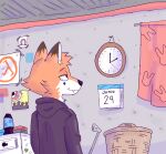  age_difference animal_humanoid anthro calendar canid canid_humanoid canine canine_humanoid dark_sweater fangs fox fox_ears fox_humanoid fur humanoid littlefox_24-7 male mammal mammal_humanoid orange_body orange_fur poster solo teeth younger_male 