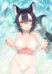  1girl :3 absurdres akuma_(st.takuma) animal animal_ears bikini black_hair blue_eyes breasts claw_pose collarbone cowboy_shot day fingernails fish from_above grey_wolf_(kemono_friends) hair_between_eyes hair_intakes hands_up heterochromia highres kemono_friends large_breasts long_hair looking_at_viewer lying multicolored_hair navel on_back outdoors partially_submerged side-tie_bikini_bottom skindentation smile stomach swimsuit tail tongue tongue_out two-tone_hair water white_bikini white_hair wolf_ears wolf_girl wolf_tail yellow_eyes 