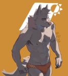  canid canine canis clothing hi_res mammal pool practice speedo swimwear warm wolf 