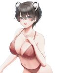  1girl absurdres animal_ears bikini black_hair blue_archive blush breasts cleavage collarbone commentary grey_eyes highres looking_at_viewer merrick navel open_mouth red_bikini revision short_hair simple_background stomach sweat swimsuit tsubaki_(blue_archive) white_background 
