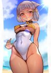  1girl animal_ears beach bikini bikini_top_only breasts brown_eyes cameltoe cat_ears choker cloud core_crystal_(xenoblade) covered_navel cowboy_shot facial_mark hair_tie highleg highleg_swimsuit highres leotard leotard_pull navel nia_(xenoblade) r123 short_hair small_breasts smile solo swimsuit underboob whisker_markings xenoblade_chronicles_(series) xenoblade_chronicles_2 