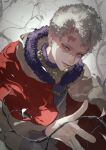  1boy black_clover capelet fur-trimmed_capelet fur_trim highres parted_lips plant purple_eyes scar scar_on_face short_hair smile solo tdgypm white_hair william_vangeance yellow_capelet 