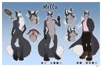  absurd_res anthro canid canine fox hi_res male mammal mello model_sheet shoes_(artist) tail 