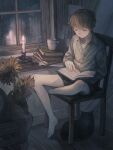  1boy black_shorts book book_stack brown_hair brown_shirt candle candlestand cat chair closed_mouth collared_shirt commentary cup dress_shirt flower highres hotatenshi indoors long_sleeves male_focus night original rain reading shirt short_hair shorts sitting solo sunflower window wooden_floor 