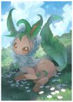  border brown_eyes cloud commentary_request day flower grass highres kikuyoshi_(tracco) leafeon lying no_humans outdoors pokemon pokemon_(creature) signature sky solo white_border white_flower 