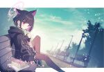  1girl animal_ears black_hair black_jacket black_pantyhose blue_archive cat_ears colored_inner_animal_ears colored_inner_hair hood hood_down hooded_jacket jacket kasuga_haruhi kazusa_(blue_archive) knee_up multicolored_hair pantyhose pink_hair short_hair sitting_on_bench skirt solo white_skirt 