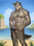  anthro beach black_clothing black_panties black_underwear blue_eyes canid canine canis christian_cross christian_symbol christianity clothing cloud domestic_dog fur genitals grey_body grey_fur hi_res husky male mammal muscular muscular_male nipples nordic_sled_dog panties penis religion rock rosemary02 sand seaside shore sky solo spitz underwear 