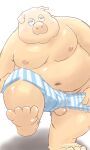  2023 anthro balls belly big_belly clothing dain_4201 domestic_pig genitals hi_res kemono male mammal moobs navel nipples overweight overweight_male solo suid suina sus_(pig) underwear 