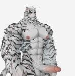  1boy abs absurdres animal_ears arknights bara completely_nude cowboy_shot dryskeleton_(drawing_jimmy) erection facial_hair furry furry_male goatee highres large_hands large_pectorals male_focus mountain_(arknights) muscular muscular_male nipples nude pectorals penis scar scar_across_eye scar_on_arm short_hair solo stomach thick_arms thick_eyebrows tiger_boy tiger_ears veins veiny_penis white_hair 