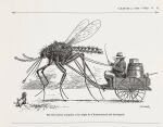  19th_century ambiguous_gender ancient_art arthropod barrel beard black_and_white canid canine canis clothed clothing dipteran domestic_dog facial_hair feral fully_clothed fur group hair hat headgear headwear hi_res human hunting_dog insect insect_wings macro male mammal monochrome mosquito pipe reins scottish_terrier t._s._sullivant terrier trio wagon wings 