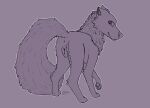  absurd_res animal_genitalia anus butt canid canine canine_genitalia canis female feral fluffy fluffy_butt fluffy_tail genitals hi_res long_tail looking_at_viewer mammal pawpads simple_background sketch smile solo tail tami_wolf tami_wolx wolf 