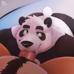  1:1 2023 anthro balls bear bent_over between_legs bin_(artist) bin_(character) black_and_white_fur bodily_fluids body_hair duo facial_piercing fellatio genitals giant_panda green_eyes happy_trail hi_res high-angle_view looking_up male male/male male_penetrated male_penetrating male_penetrating_male mammal nose_piercing nose_ring oral oral_penetration penetration penile penile_penetration penis piercing ring_piercing saliva saliva_on_penis sex snaggle_tooth solo_focus spread_legs spreading 