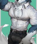  absurd_res anthro bottomwear bulge canid canine canis clothed clothing dress_shirt erection erection_under_clothing genital_outline hair hi_res male mammal multicolored_body muscular muscular_male pants pecs penis_outline shirt solo tail topwear ty_arashi wet wet_clothing wolf 