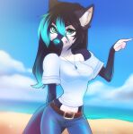  2018 5_fingers anthro artist_name beach biped black_body black_fur black_hair blue_bottomwear blue_clothing blue_eyes blue_hair blue_highlights blue_nose blue_pants blue_sky bottomwear canid canine clothed clothing cloud countershade_fur countershade_torso countershading digital_media_(artwork) female fingers fur gesture green_eyes hair heterochromia highlights_(coloring) inner_ear_fluff jewelry layala looking_at_viewer mammal multicolored_hair necklace outside pants pointing sand seaside shaded shirt sky solo tail topwear tuft two_tone_hair white_body white_fur white_inner_ear_fluff 