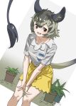  1girl :d animal_ear_fluff animal_ears bare_arms bare_legs black_hair brown_eyes commentary degu_(kemono_friends) dutch_angle grey_shirt hair_between_eyes highres kemono_friends leaning_forward long_tail looking_at_viewer multicolored_hair open_mouth plant potted_plant shirt short_hair short_sleeves shorts smile solo striped striped_shirt tail tanabe_(fueisei) teeth two-tone_hair upper_teeth_only v_arms yellow_shorts 