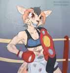  animal_humanoid anthro beaten_up blood bodily_fluids boxing boxing_attire boxing_gloves chamma_retsuden champion championship_belt clothing fan_character female fighting_ring handwear humanoid mammal mammal_humanoid masteroflasagna muscular muscular_anthro muscular_female mustelid mustelid_humanoid nosebleed otter otter_humanoid solo sport 