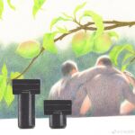  2boys absurdres ad arm_around_shoulder back bara bottle branch couple faceless faceless_male food from_behind fruit highres leaf looking_at_another looking_to_the_side male_focus multiple_boys nude original painterly peach perfume_bottle plant short_hair sunlight upper_body yaoi yuzhou_fei_gou 