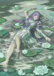  1girl absurdres artist_request asymmetrical_sleeves bare_legs closed_mouth dress flower from_above full_body green_dress highres in_water leg_up lily_pad long_hair looking_at_viewer lotus lying on_back purple_hair qinshi_mingyue second-party_source shao_siming_(qinshi_mingyue) solo veil water 