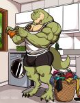  absurd_res anthro appliance beard biceps body_hair bottomwear chest_hair claws clothing darknaigart detailed_background dinosaur facial_hair full-length_portrait green_body hi_res jace_(darknaig) laundry legwear male muscular muscular_anthro muscular_male pecs portrait reptile scalie shaved shirt shorts solo tank_top tattoo theropod tights topwear tyrannosaurid tyrannosaurus tyrannosaurus_rex underwear washing_machine window yellow_eyes 