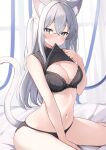  1girl absurdres animal_ear_fluff animal_ears bare_arms bare_shoulders between_legs black_bra black_panties black_shirt bra breasts cat_ears cat_girl cat_tail cleavage clothes_lift hand_between_legs hand_up highres large_breasts lifted_by_self long_hair looking_at_viewer mouth_hold navel okiq original panties ribbed_shirt shirt shirt_lift sitting skindentation sleeveless sleeveless_shirt solo stomach sweatdrop tail tail_raised thighs two_side_up underwear wariza white_hair 