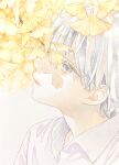  1boy absurdres bishounen branch closed_mouth collared_shirt commentary ginkgo ginkgo_leaf grey_eyes highres leaf long_bangs male_focus original painting_(medium) portrait shirt short_hair simple_background solo traditional_media watercolor_(medium) white_background white_hair white_shirt yuufuushi 