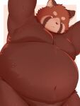  2023 absurd_res ailurid anthro belly big_belly brown_body hi_res kemono male mammal moobs navel overweight overweight_male red_panda simple_background solo trail_arnak 