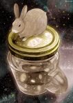  animal_focus jar mason_jar no_humans nomiya_(no_38) original rabbit realistic sky space star_(sky) starry_sky twitter_username watermark 