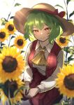  absurdres ascot bow collared_shirt flower green_hair hat hat_bow highres kazami_yuuka kazami_yuuka_(pc-98) long_sleeves looking_at_viewer medium_bangs pants red_eyes red_pants red_vest rinkaito1231 shirt short_hair sitting straw_hat sunflower touhou vest white_shirt yellow_ascot 