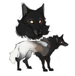  2023 all_fours ambiguous_gender black_body black_fur canid canine canis feral full-length_portrait fur hoot_(artist) mammal portrait prick_ears simple_background snout solo tail white_background white_body white_fur white_tail wolf 