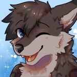  anthro canid canine eyebrows felid fur happy headshot_portrait highlights_(coloring) locknvt male mammal one_eye_closed pantherine portrait raised_eyebrows shepherdsnow snow_leopard solo spots spotted_body spotted_fur star wholesome wink 