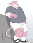  2023 3:4 anthro belly big_belly bottomwear bungo_(tamacolle) clothing domestic_cat felid feline felis footwear harumuname hi_res humanoid_hands kemono male mammal overweight overweight_male pink_body sandals shirt shorts solo tamacolle topwear 