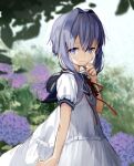  1girl absurdres blue_sailor_collar blurry blurry_background collared_dress commentary dress expressionless flower hair_intakes hand_on_own_chin highres hydrangea kari_kenji neck_ribbon outdoors purple_eyes purple_hair red_ribbon ribbon sailor_collar short_hair_with_long_locks short_sleeves sidelocks sideways_glance solo upper_body vocaloid voiceroid white_dress yuzuki_yukari 