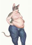  2020 anthro belly big_belly bottomwear cettus clothed clothing denim denim_clothing domestic_cat felid feline felis hairless hairless_cat hand_on_hip hand_on_stomach hi_res jeans male mammal moobs navel obese obese_anthro obese_male open_bottomwear open_clothing open_pants overweight overweight_anthro overweight_male pants pink_body pink_skin simple_background solo standing tail topless white_background 