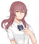  1girl blue_bow blue_bowtie bow bowtie brown_eyes brown_hair closed_mouth collared_shirt crying crying_with_eyes_open highres jasmiass koe_no_katachi long_hair looking_at_viewer nishimiya_shouko school_uniform shirt short_sleeves simple_background smile solo tears upper_body white_background white_shirt 