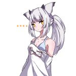  ... 1girl alternate_costume alternate_hairstyle ar_gun arknights arms_behind_back blue_bra blush bra breasts bright_pupils cleavage collarbone grey_hair long_hair long_sleeves looking_at_viewer off-shoulder_shirt off_shoulder orange_eyes owl_ears ponytail ptilopsis_(arknights) shirt simple_background small_breasts solo underwear white_background white_shirt 