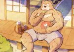  2023 anthro argent_cookie bear belly black_nose bulge clothing detailed_background eating food hi_res humanoid_hands kemono male mammal overweight overweight_male popsicle sitting solo underwear 