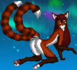  anthro anus arumi butt claws domestic_cat felid feline felis female fur furry genitals hair hi_res mammal nude pawpads paws pussy red_body red_fur red_hair ryuukei8569 solo 